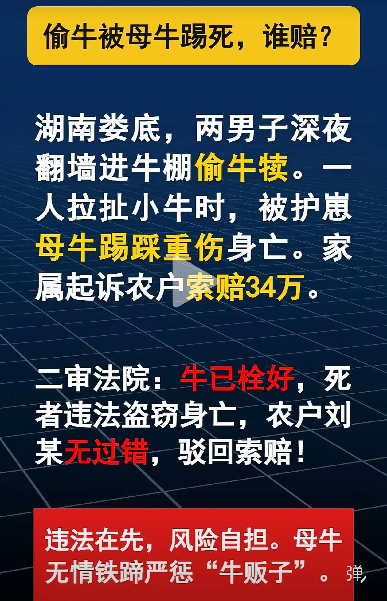 偷牛被母牛踢死，谁赔？？农村人偷狗 牛意外事故 流浪牛伤人 牛非礼 牛撞 偷牛肉