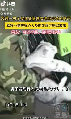 “坏到骨子里！”10月3日上海一男子凌晨发现有人取完快递，没关上柜门后，便不顾猫