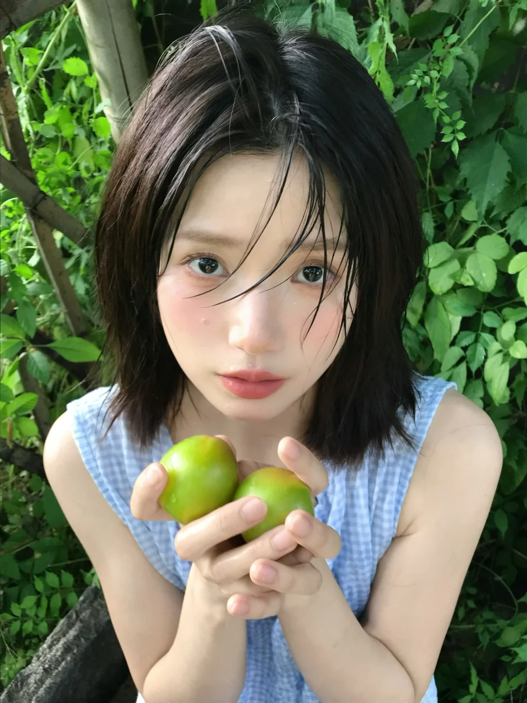 盛夏 蝉鸣 和那颗青涩的李子𓍯ོ 💚