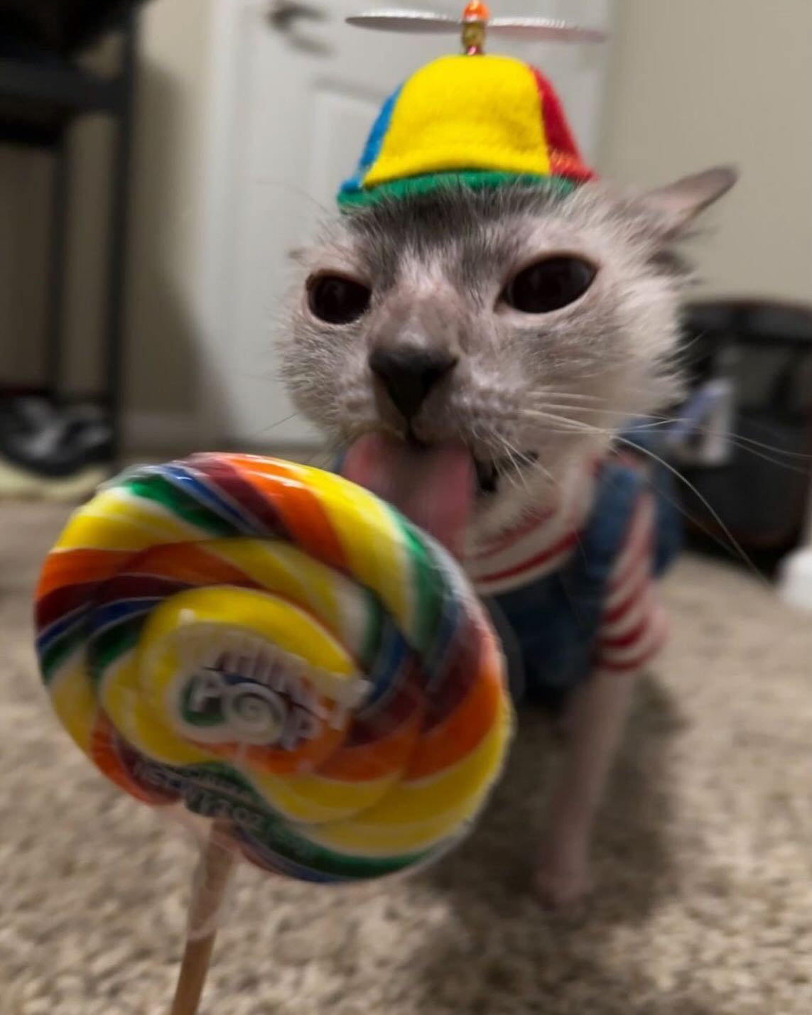 👅 ​​​