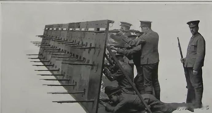 这是真没见过[看]