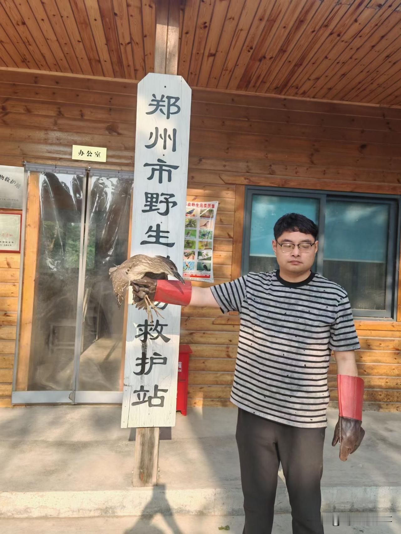 今天(2026年5月11日）郑州市野生动物救护站工作人员，前往郑州市金水区中州大