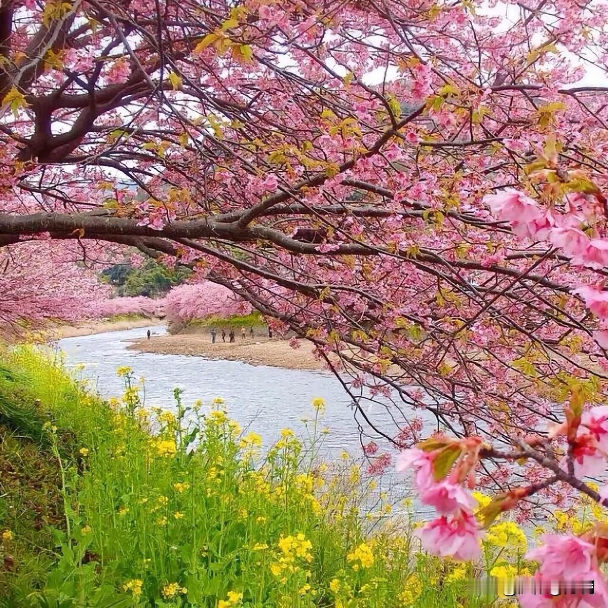 心境一换，世界皆温柔
 
你有没有发现，
风景还是那片风景，人生还是这段人生，