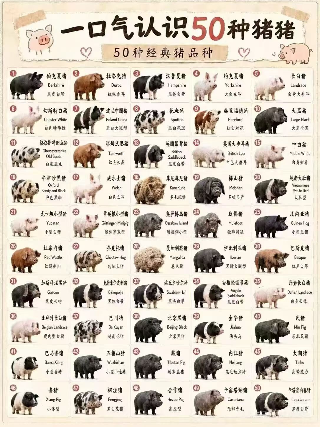 谁把我家民民排在第40位的你粗乃一下 