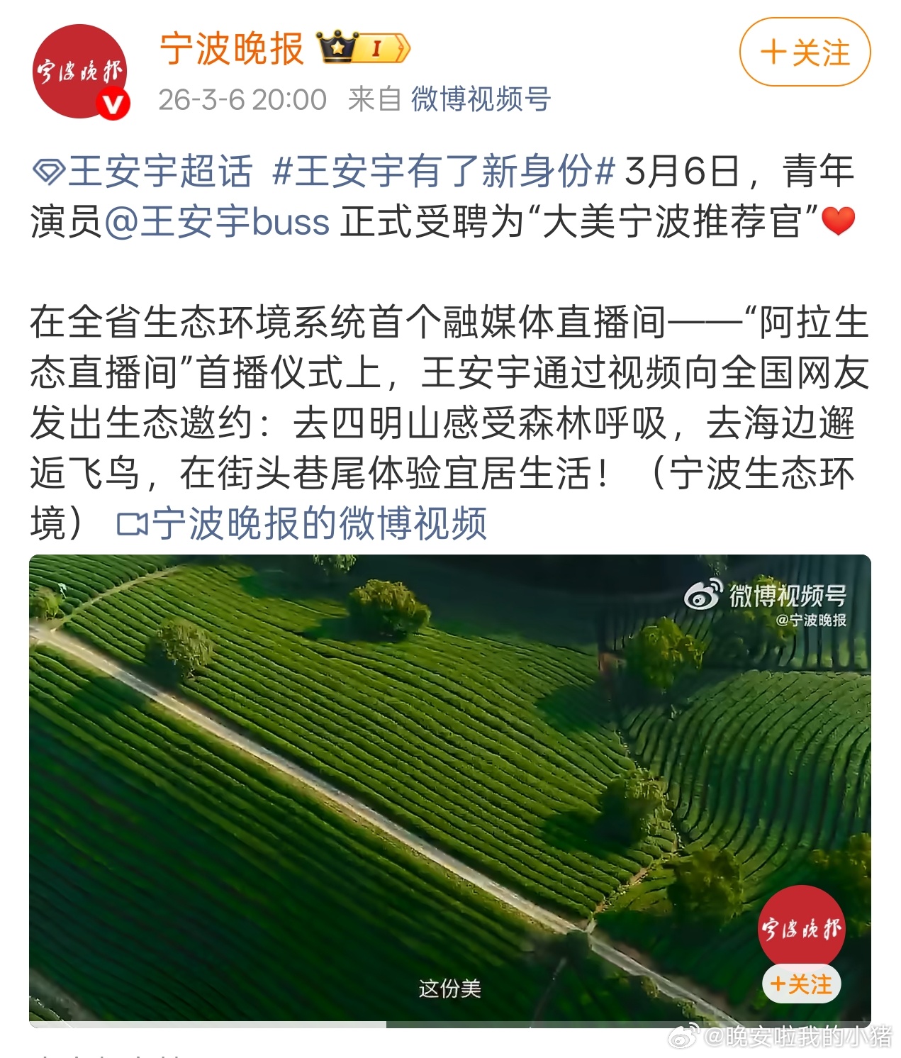 王安宇解锁新身份，大美宁波推荐官，声音好治愈