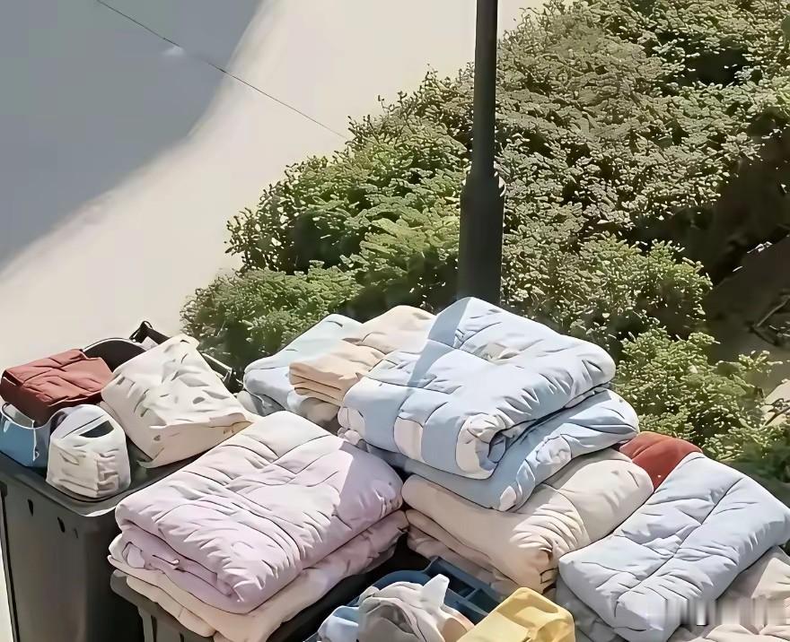 又是一年大学毕业季，你可曾想过四年前入学的场景。大学，学的不仅是知识，还有修养及