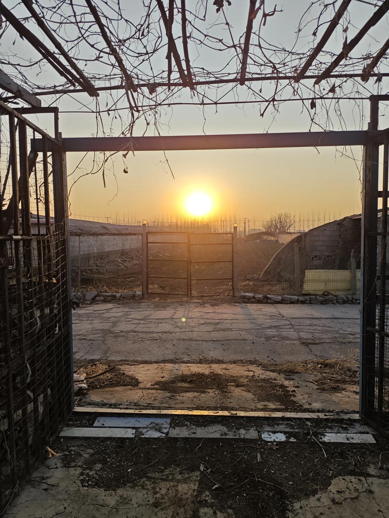 村居暮夕《原创》
 
枯藤架晚沐斜阳，
小院柴门染暖光。
半垛柴薪藏岁月，
一川