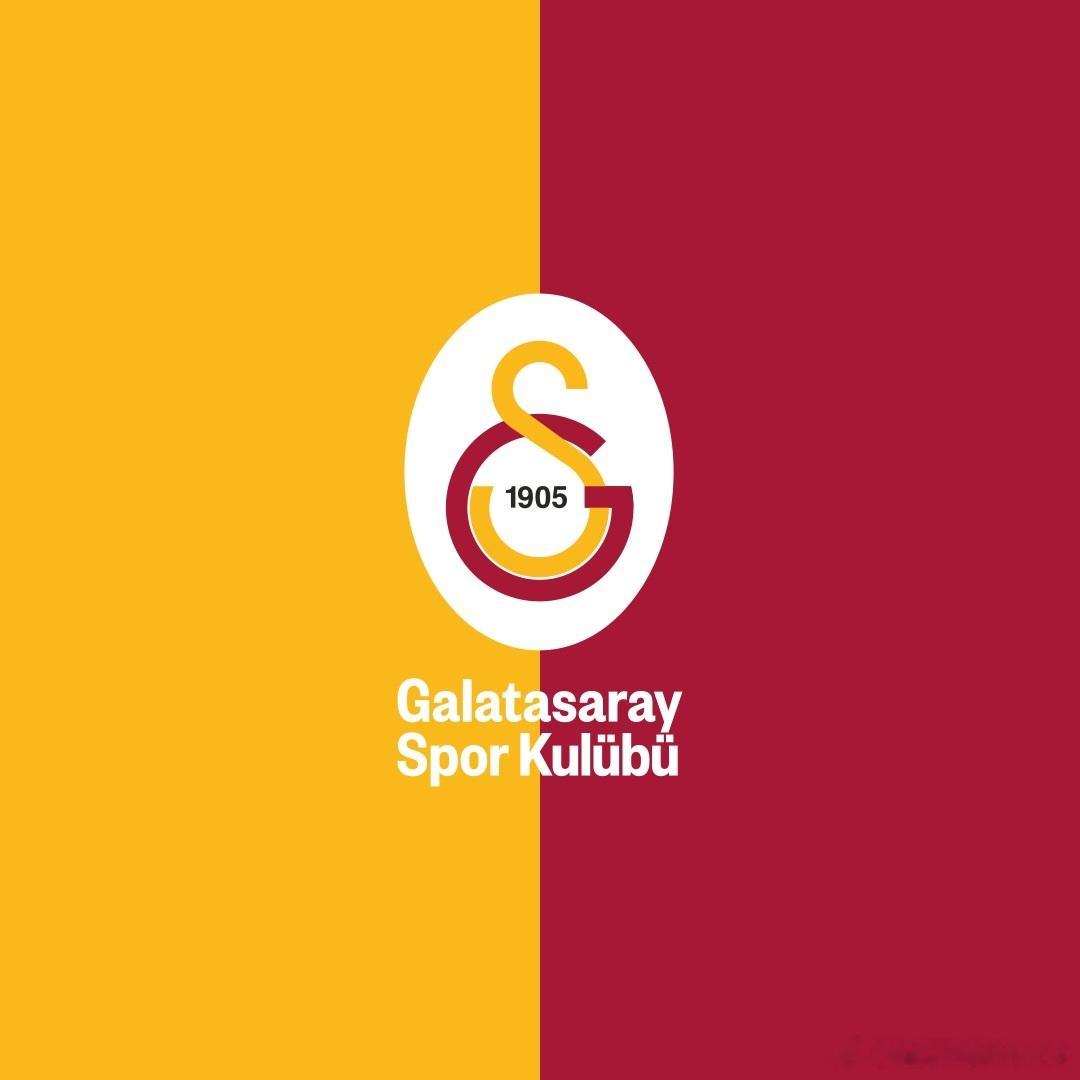 排球 ⚡️ 已获得欧冠参赛资格的加拉塔萨雷·戴金（Galatasaray Dai