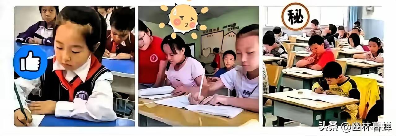 中小学生有福了。
2026年3月1日起，全国中小学和幼儿园的新教育政策正式落地，