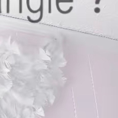 0000分享大白菜的种植方法～首先，选择适合当地气候和土壤条件的优质大白菜种子是