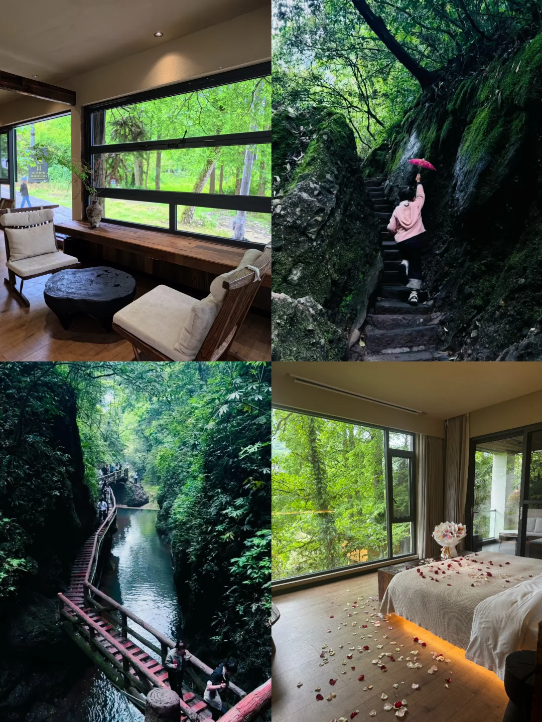 青城山民宿｜错峰来吸氧爽到飞起♨️