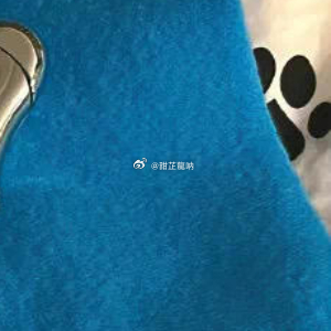 在贵阳那间租来的老房子里，唤醒我的永远是钉钉尖锐的叫声和窗外汽车焦躁的鸣笛，有时