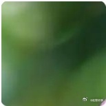 《玫瑰的故事》中，方协文跟玫瑰的婚姻，最终相处不下去，归根到底，就是三观不同。方