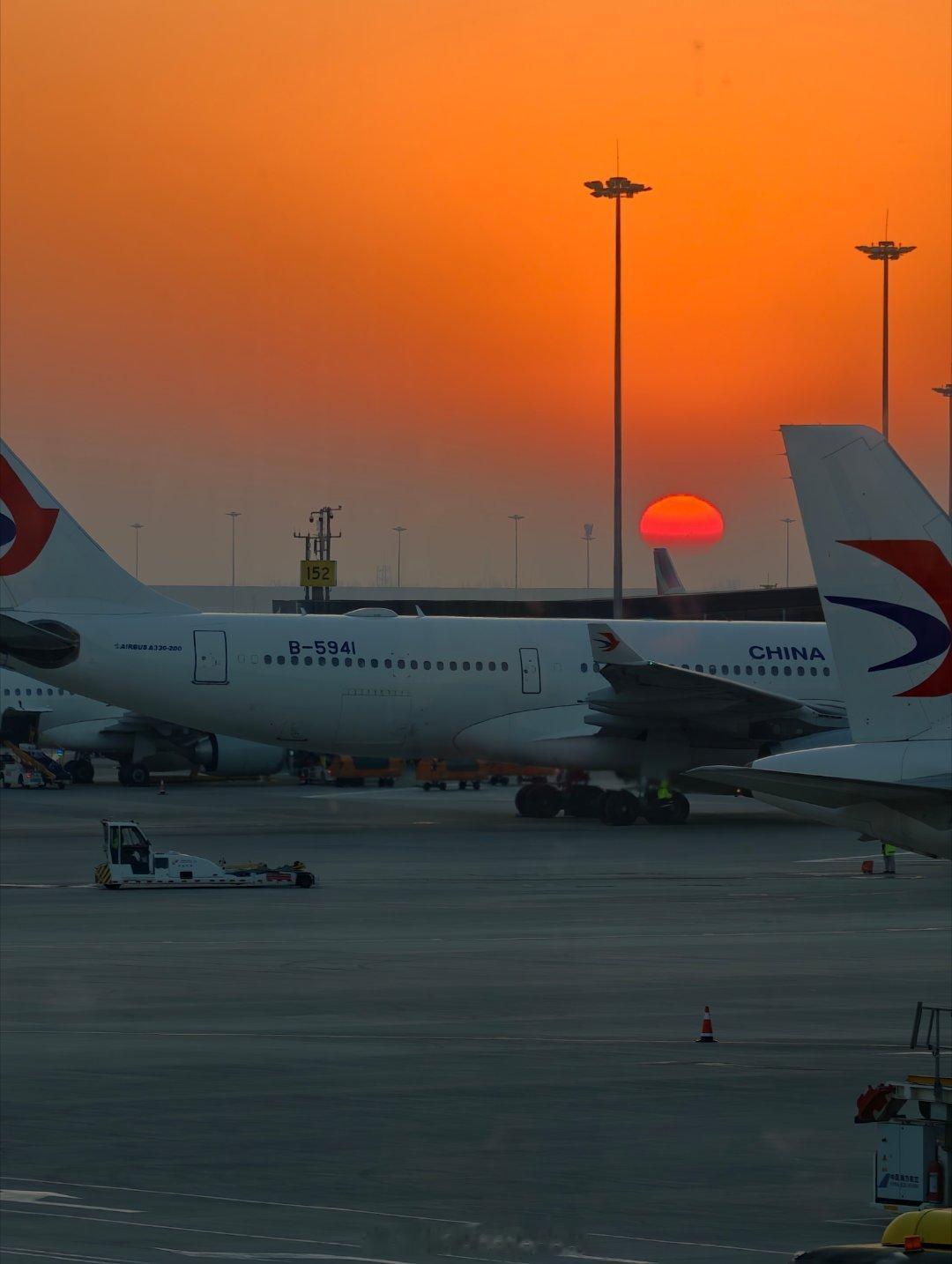 早上好鸽们儿们哈布尔的随行拍