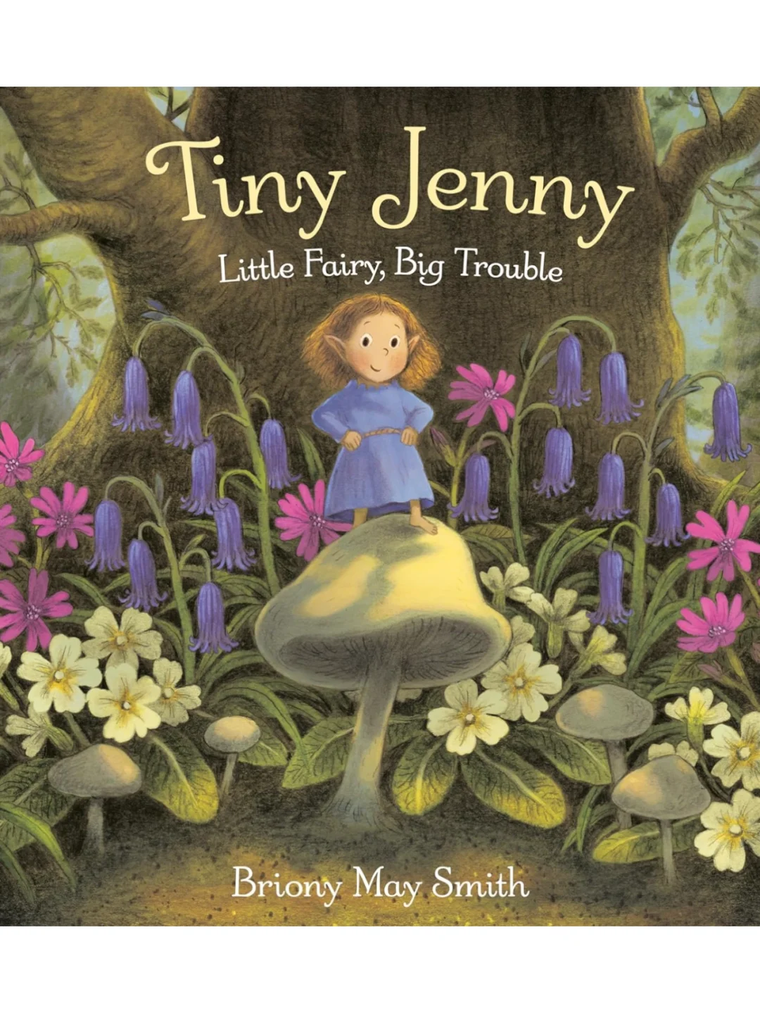 新书速递| Briony May Smith |小仙女大麻烦