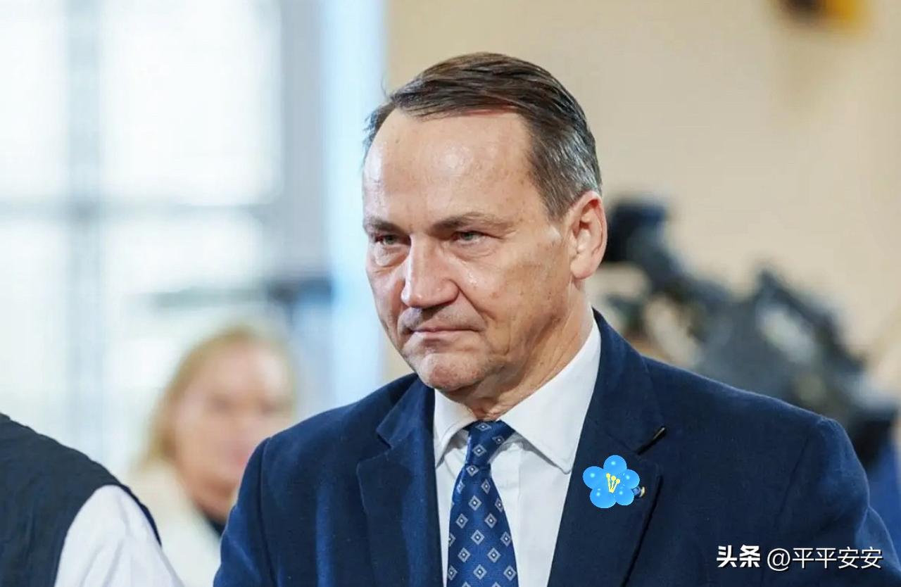 这下可太热闹了！

波兰、法国、意大利等国驻伊拉克人员纷纷撤离，北约成员国也集体