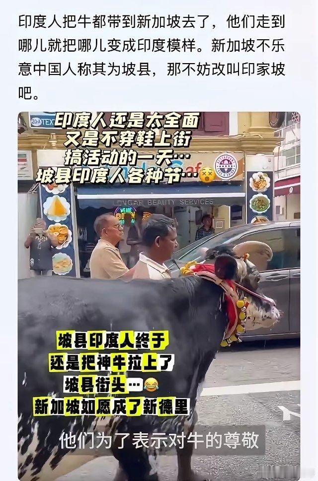 坡县印度人，终于还是把神牛拉上了坡县街头...新加坡如愿成了新德里！啥也不说了，