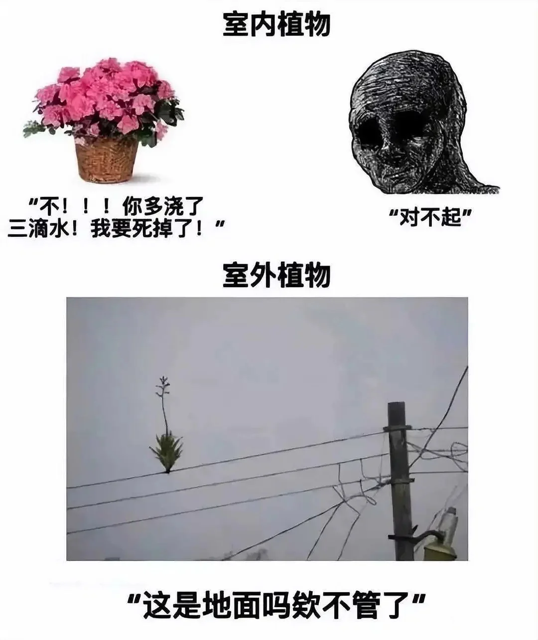 这是地面吗欸不管了