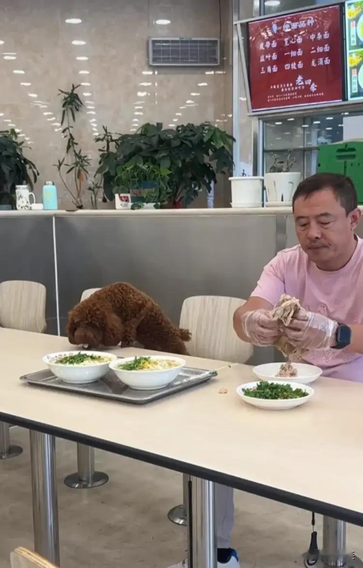 近日，沈阳的一家老字号面馆内，一位男性顾客带宠物在餐桌就餐的情况引起反响。
该男