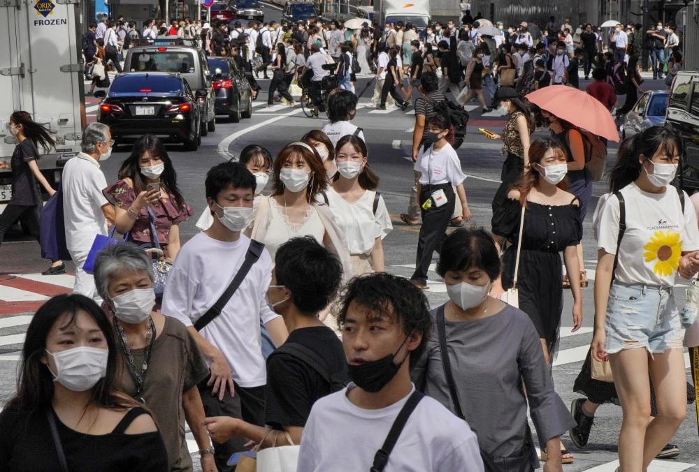 为什么电诈都喜欢骗中国人？明明日本人比咱们更富裕，怎么就不去打他们的主意？道理其