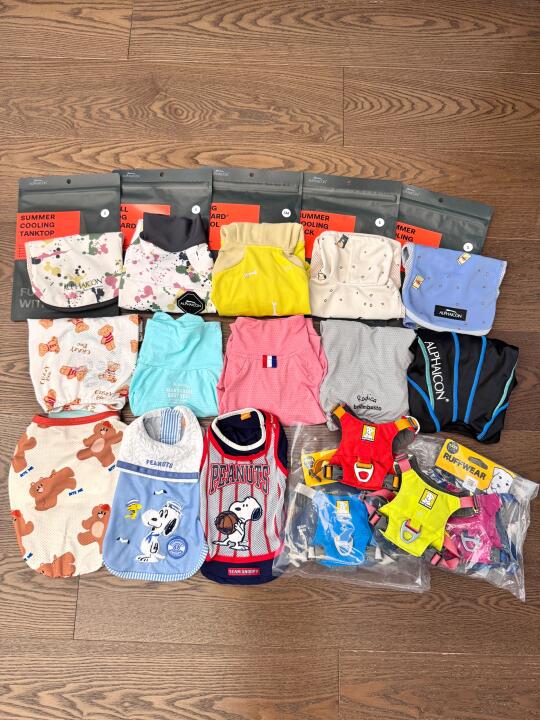 25ss小狗新衣和出门穿搭