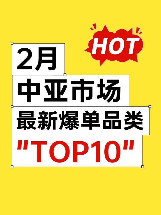 2月中亚市场爆单品类top10