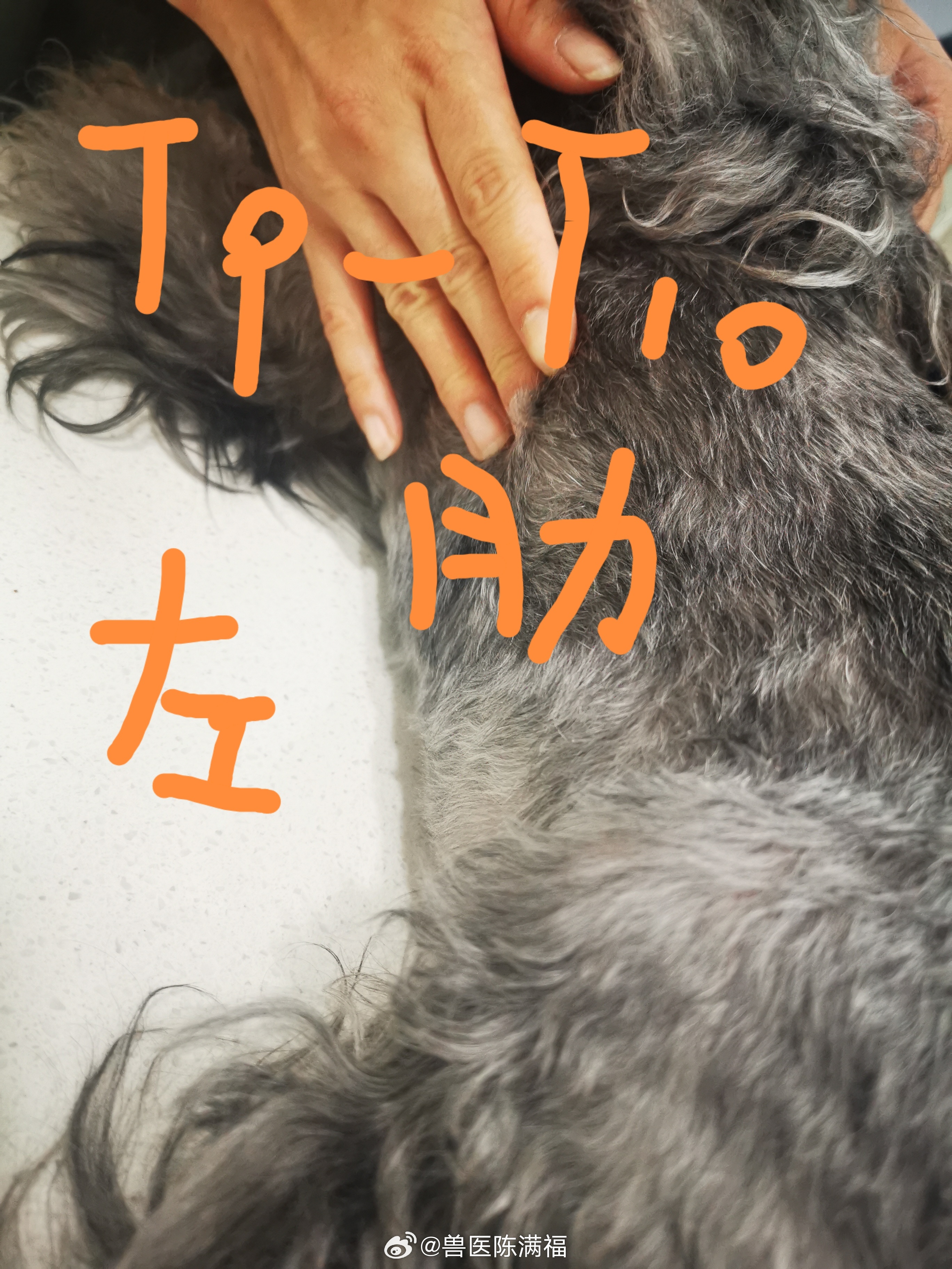 #警方回应小伙搀扶老人反被诬陷殴打#不知道说什么好[允悲]做好人好事太难了社会究