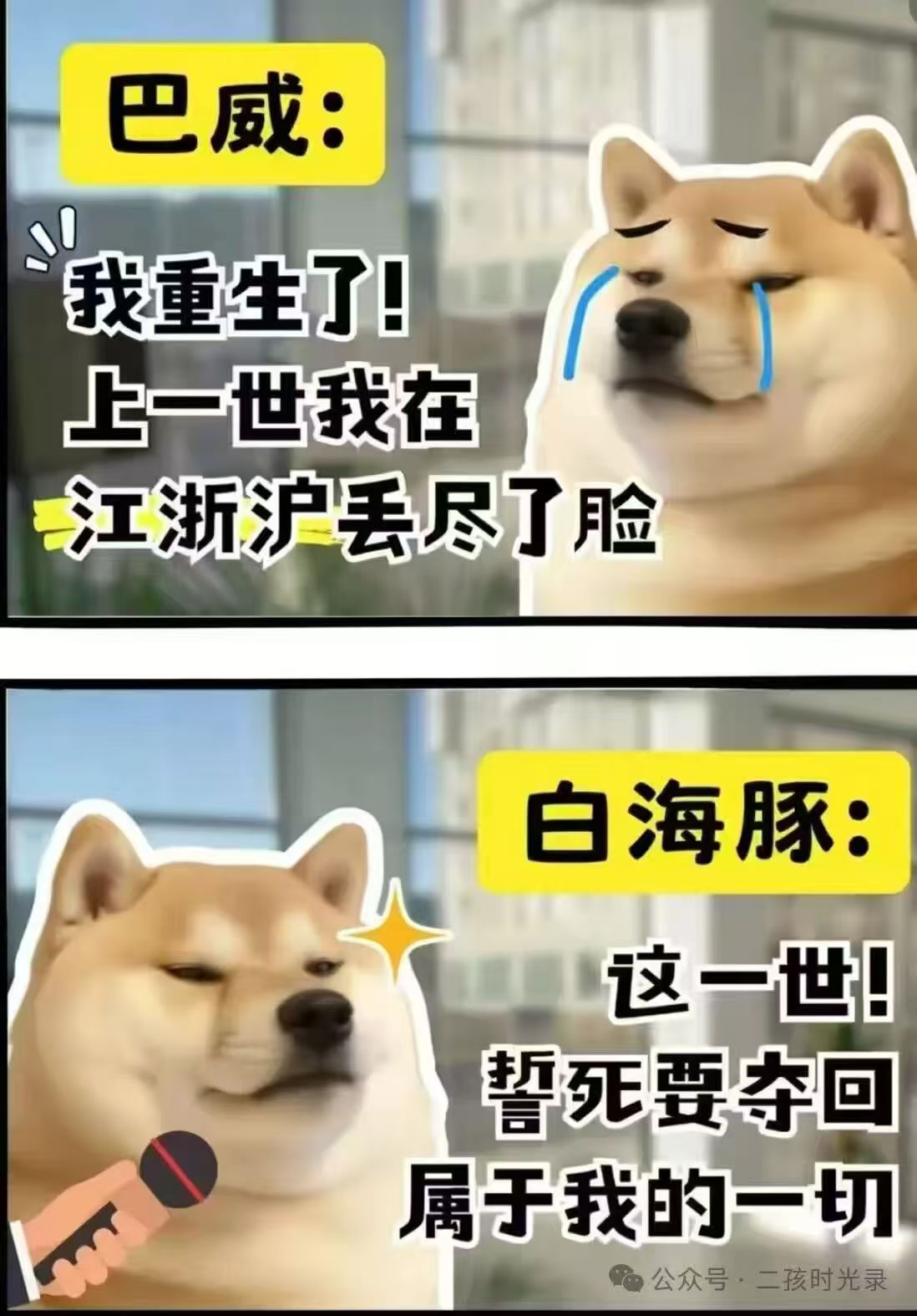 哈哈哈哈哈 