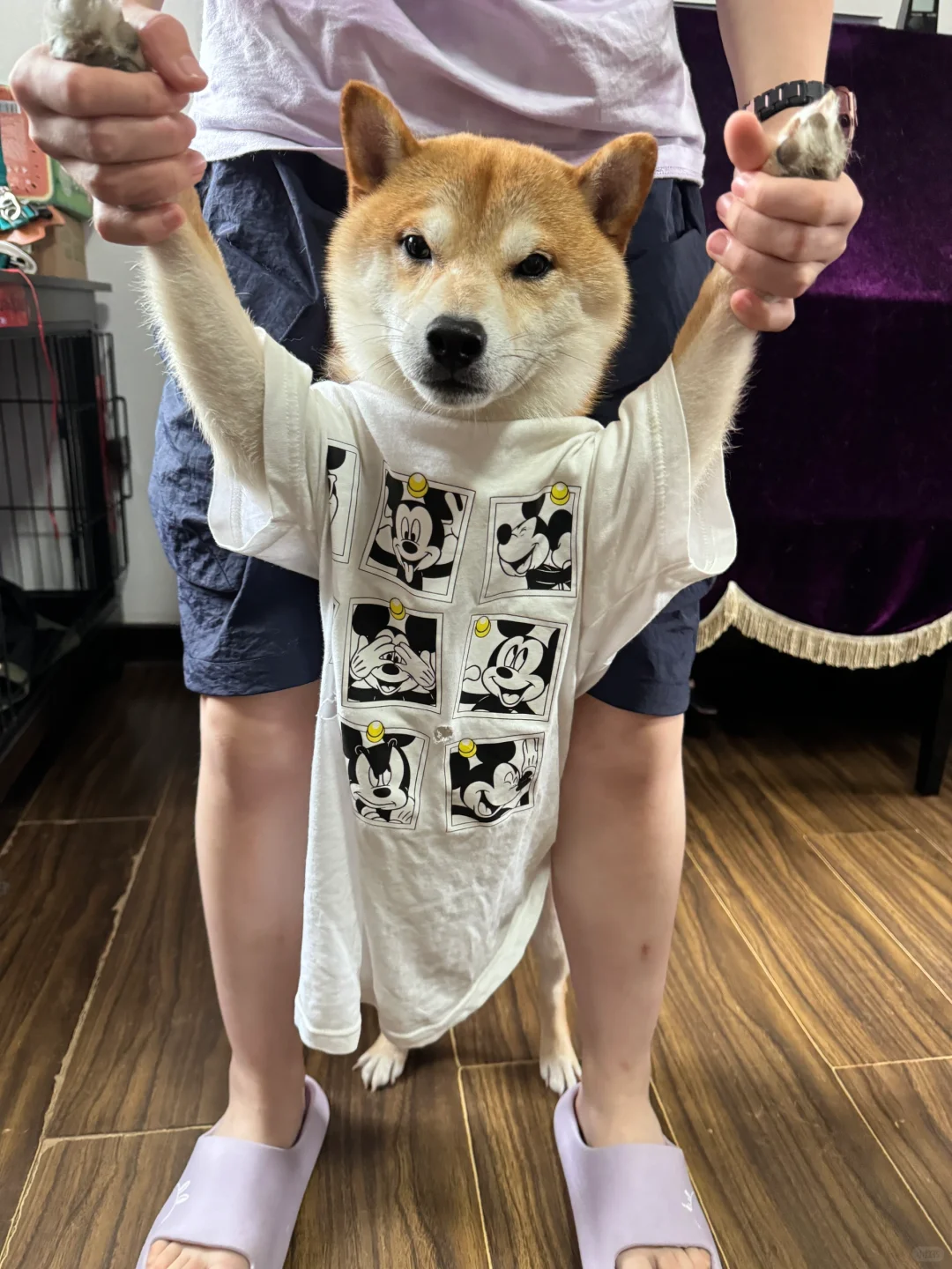 穿个衣服帅一下