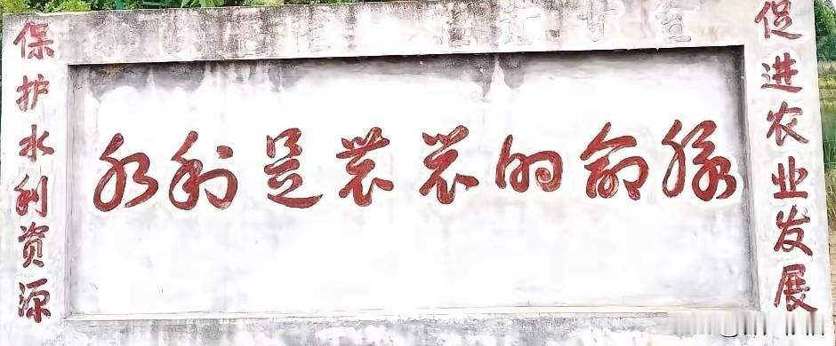 谁能认出中间的这行横字？