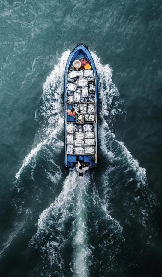 这就是南澳岛开海后的快乐吧
每天清晨都是收获满满的渔船靠岸
全屏封神挑战 全屏图