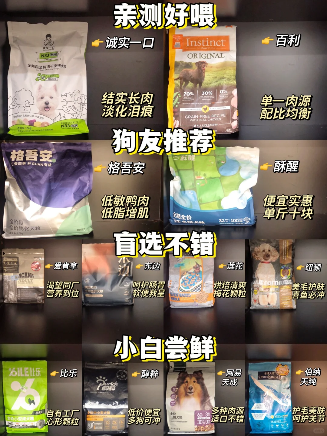 新手养狗保姆级攻略‼热门平价狗粮怎么选？