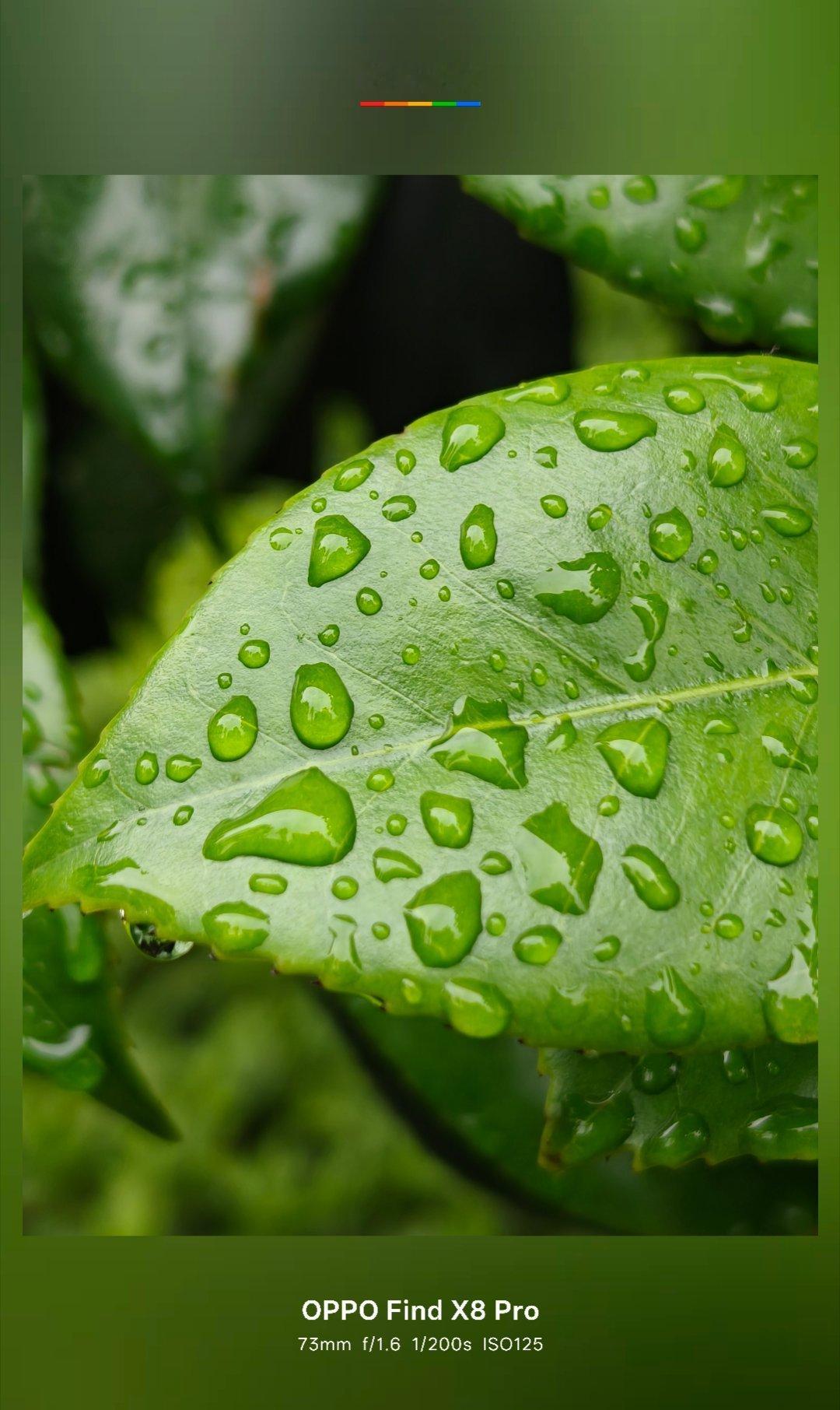 雨后的清晨空气真的好清新。兄弟们早！每天早起打卡 ​​​