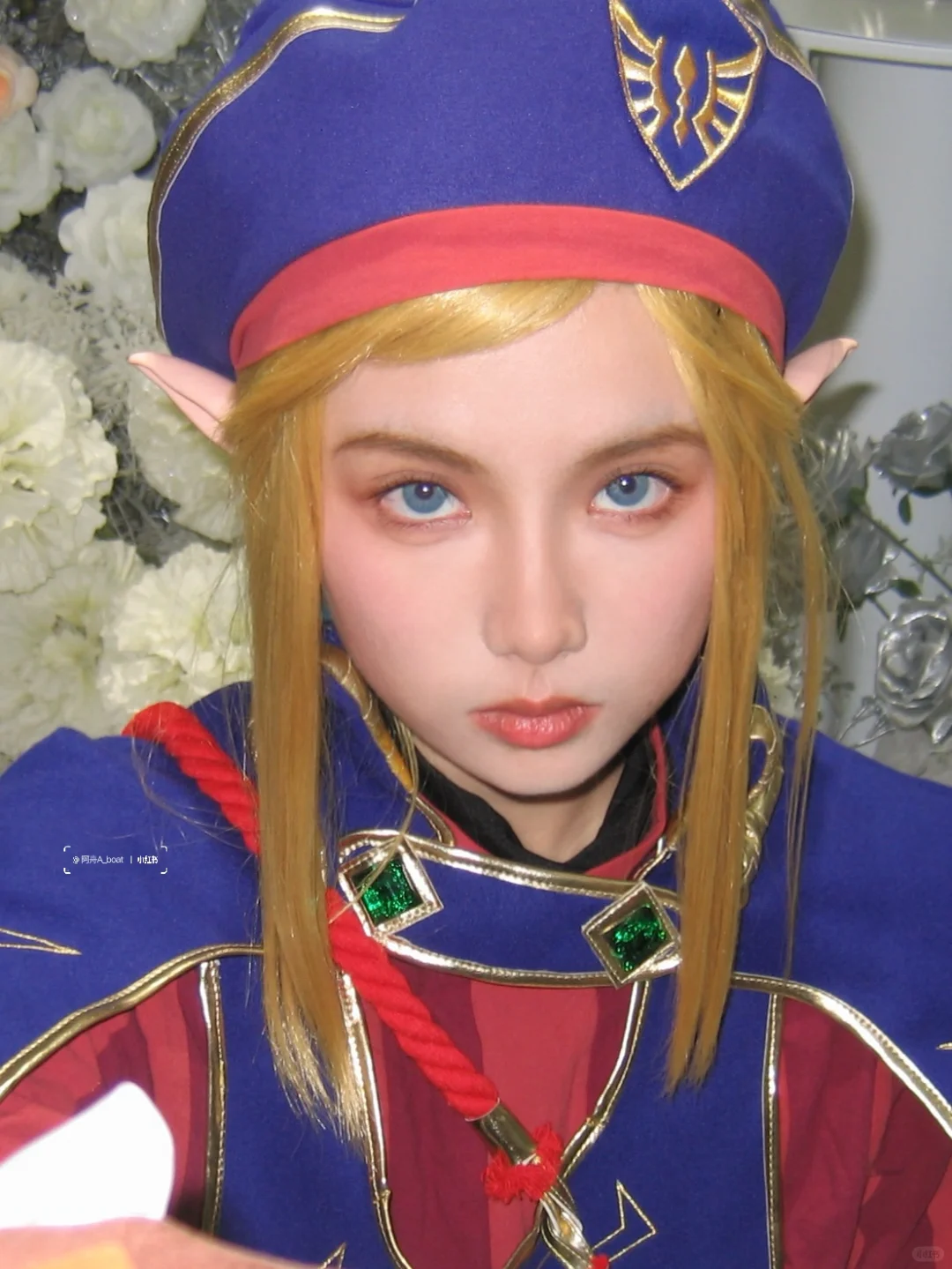 I’m Link from Hyrule Where’s my princess