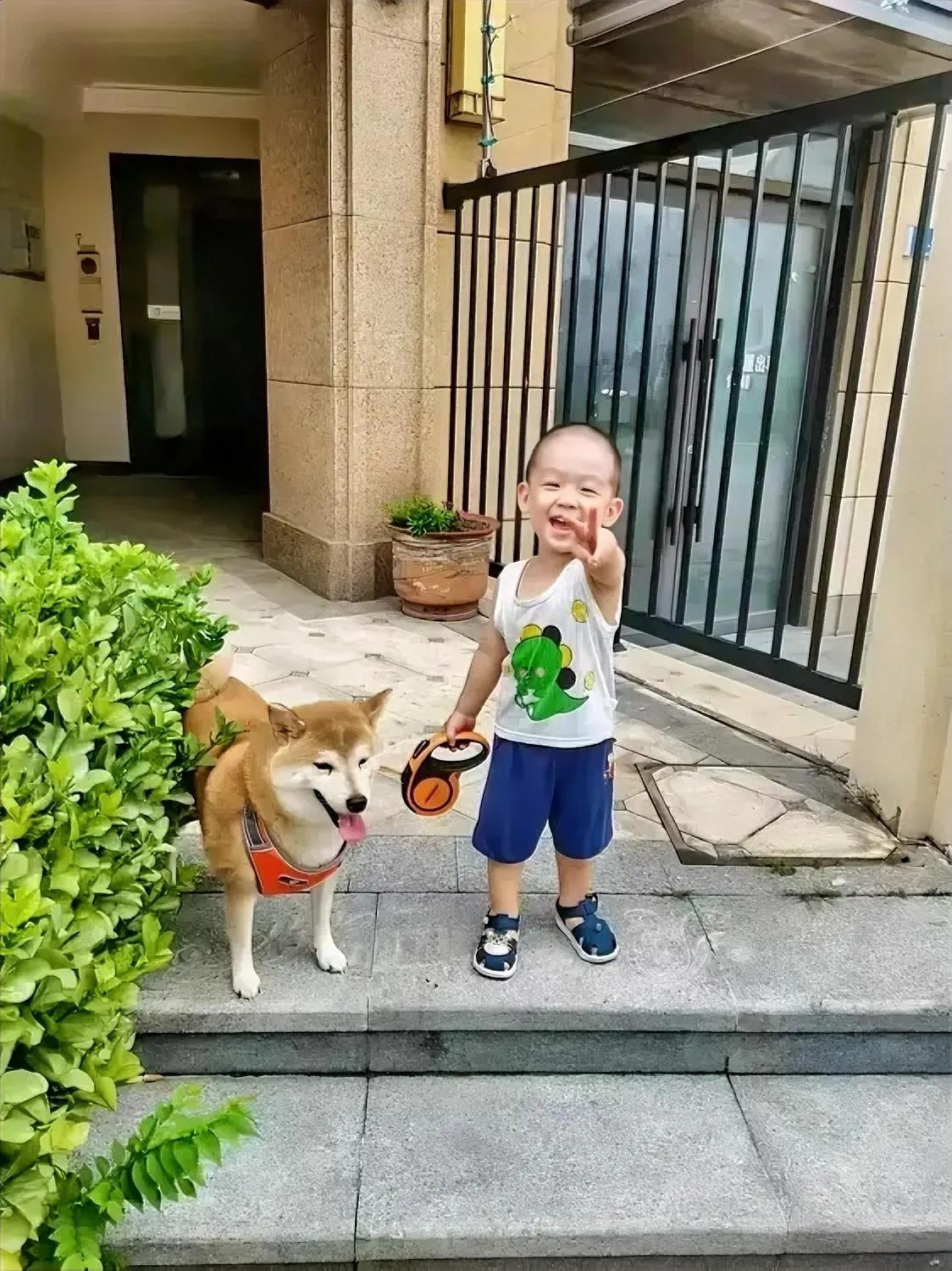 好的，狗尾续貂即兴来一首，逗个闷子别气着。
老伴让我去打油，
奉上一首打油诗。