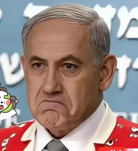 以色列最新消息！
 
2026年4月5日，以色列突然翻脸了，宣布把所有跟法国的国