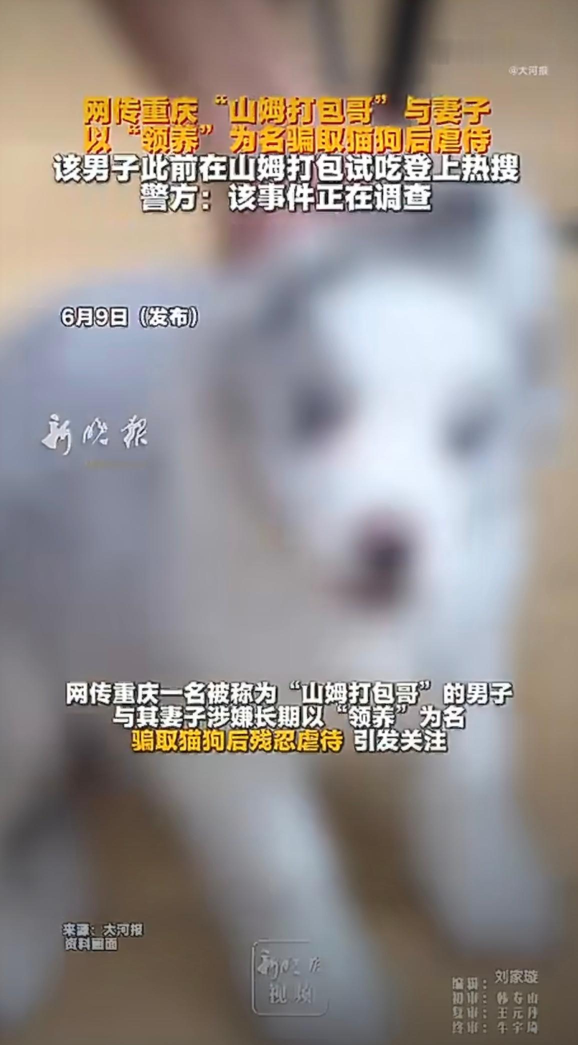 警方通报男子领养虐待犬只致死39岁男子李某以“爱心领养”为名骗取犬只后实施锯牙、