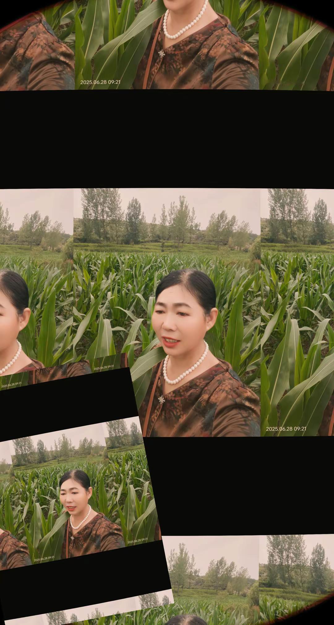 田间地头走一走，呼吸一下天然氧吧的清新空气 ！ 一份耕耘一份收获:走进庄稼地感受