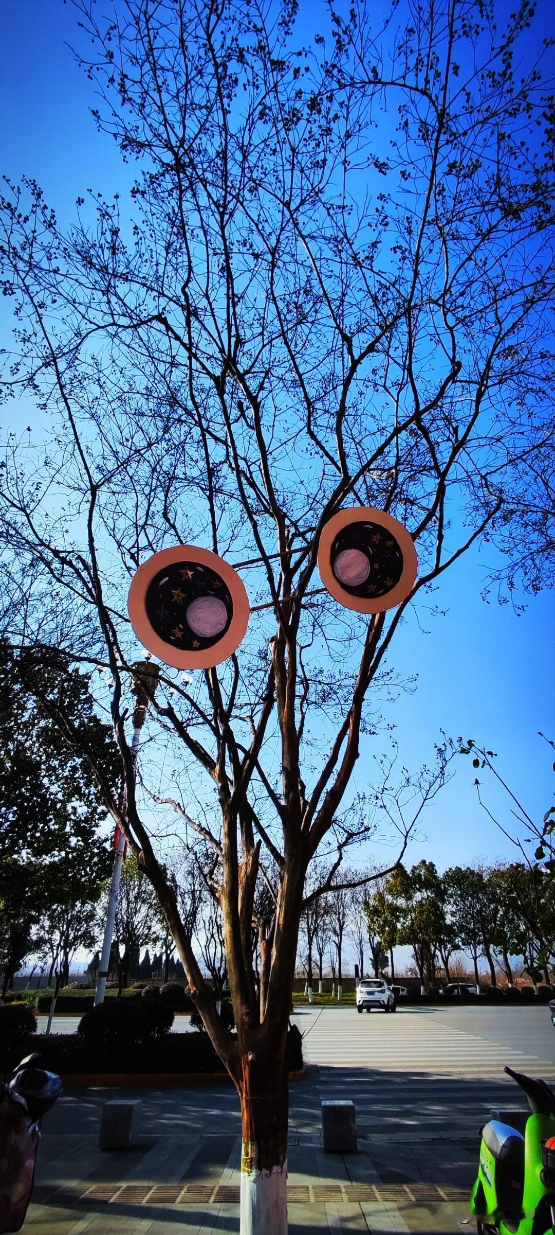 冬日生活打卡季谁在树上挂了两只眼睛？远远的就看见它在瞅我。想起那句：人越有趣，越