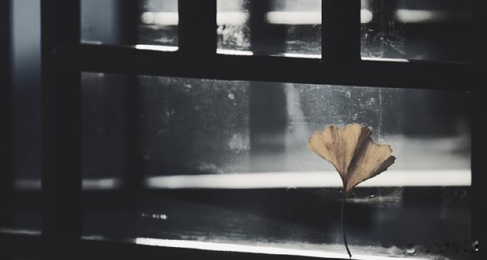 “爱在恰逢其时”


昔年总觉
世间至苦，莫过别离
待岁序更迭，方觉平生至憾
乃
