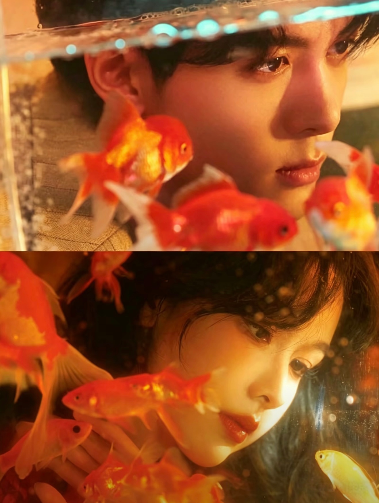 啊啊啊那个那个现偶来吻上老曾老嘟好不好🥹🥹 