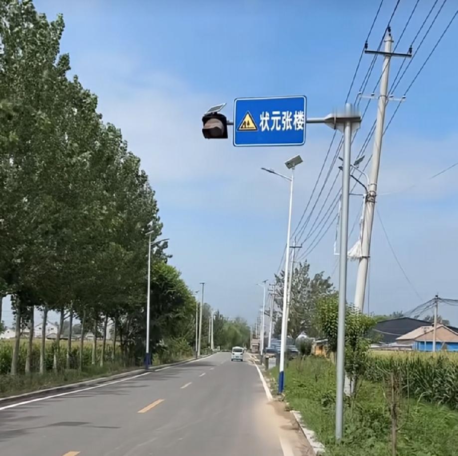郓城县张鲁集镇状元张楼
张氏祖籍湖广汉阳府汉川县竹园村，始祖贞，明朝永乐年间（1