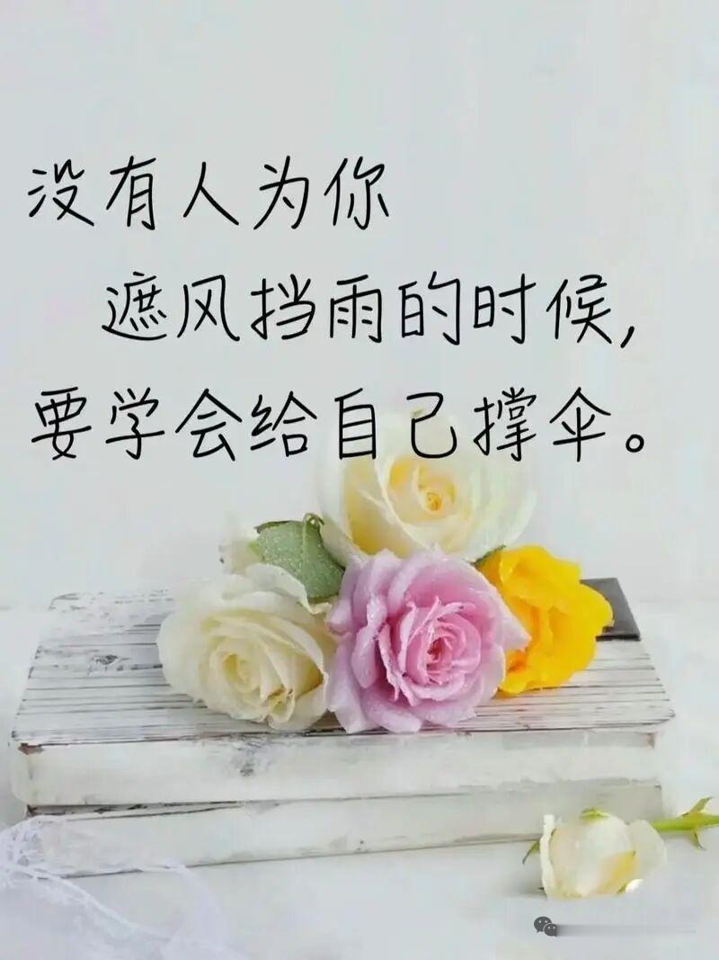 壁纸层次相同，自然同频；三观不合，不必强融。你有教养、懂尊重、有分寸，我必以诚相