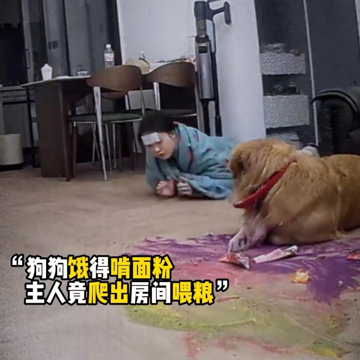 高烧40度在床上躺了一天，安徽的一个女生突然发现自己的狗狗异常安静，于是强撑着自