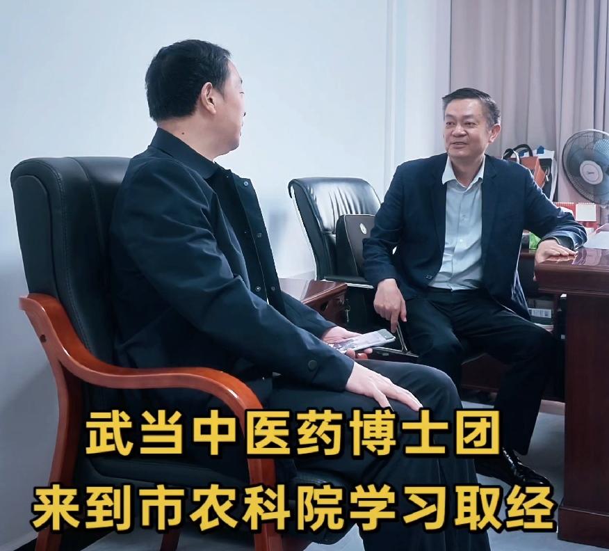 武当中医药博士团
拜访中药材专家封海东

今天（9月22日）下午，武当中医药博士