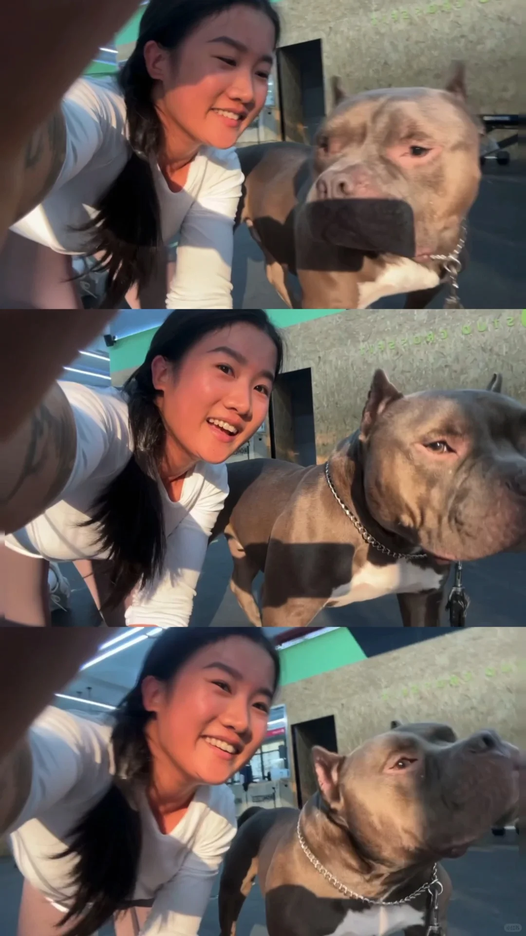 肌肉女和肌肉狗
