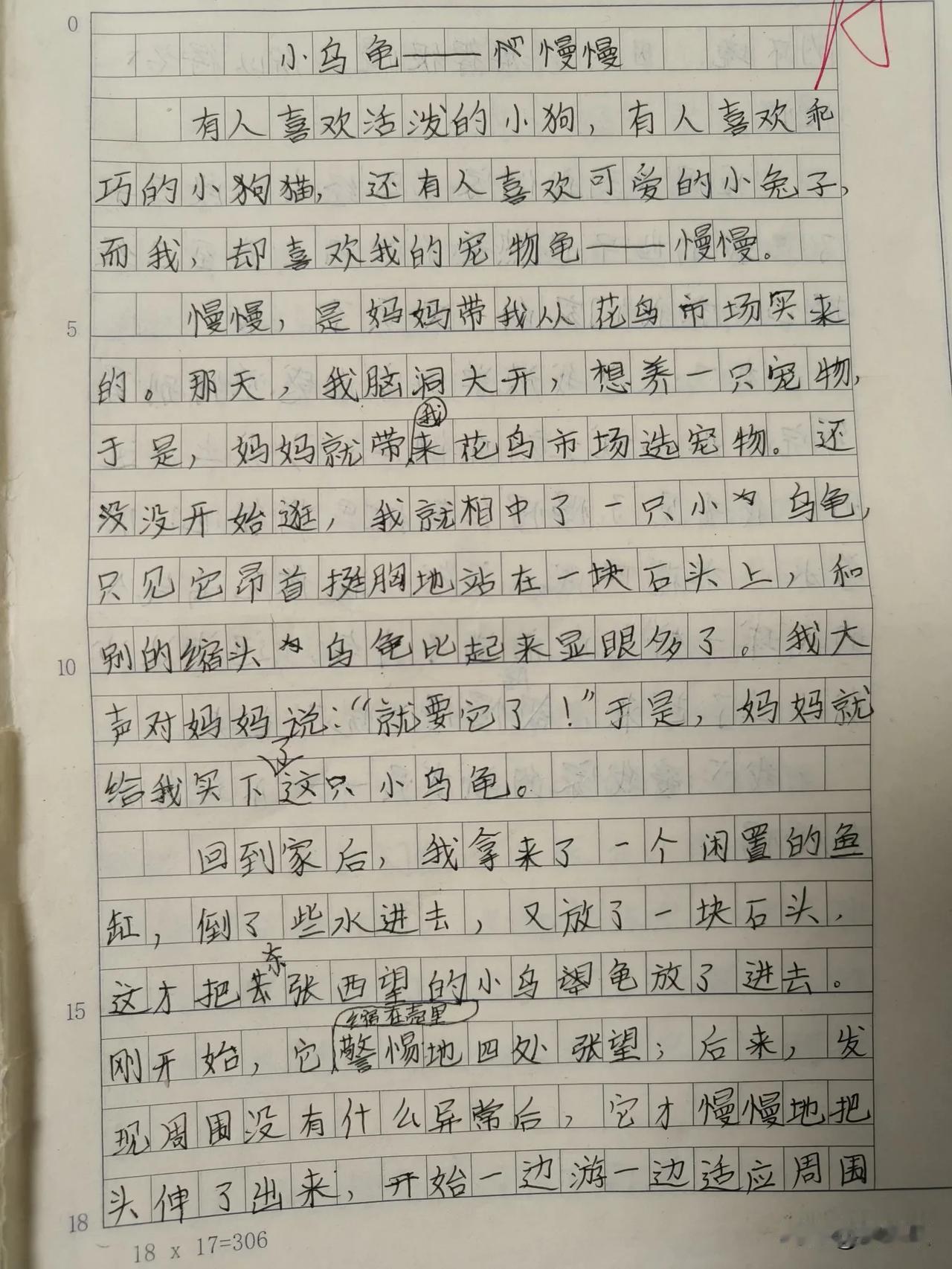 小乌龟------慢慢

有人喜欢活泼的小狗，有人喜欢乖巧的小猫，还有人喜欢可爱