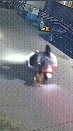 监控下，
坐在行驶电动车后排的女子被狗子扑咬，拖下车，骑行女子不知所措，不敢向前