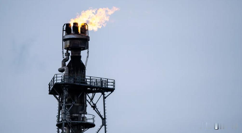 据州长维亚切斯拉夫·格拉德科夫（Vyacheslav Gladkov）称，8月3