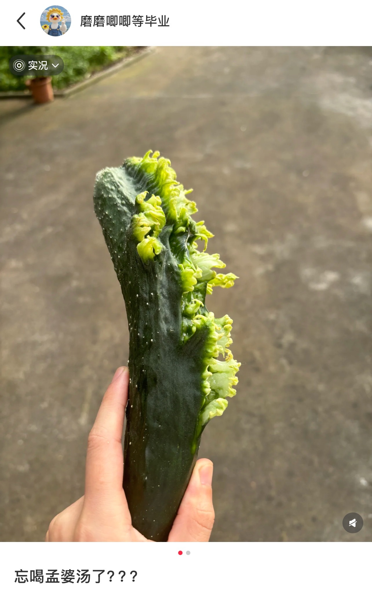 今天算是被蔬菜刷新认知了[允悲] ​​​